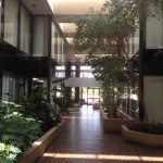 Dallas Office at Forest Central One